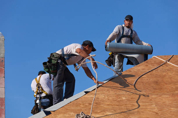 Roof Waterproofing Services in Worth, IL