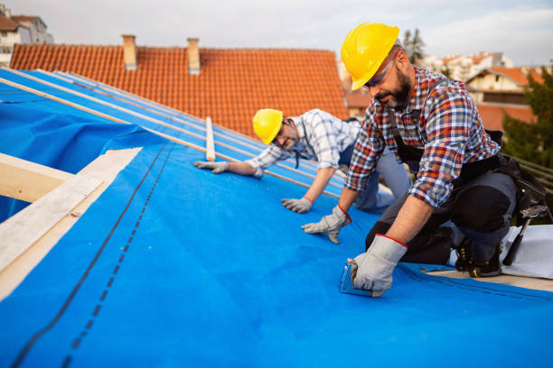 Best Emergency Roof Repair  in Worth, IL