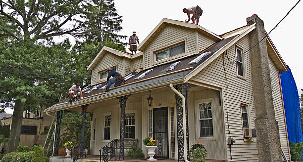Best Metal Roofing Contractor  in Worth, IL