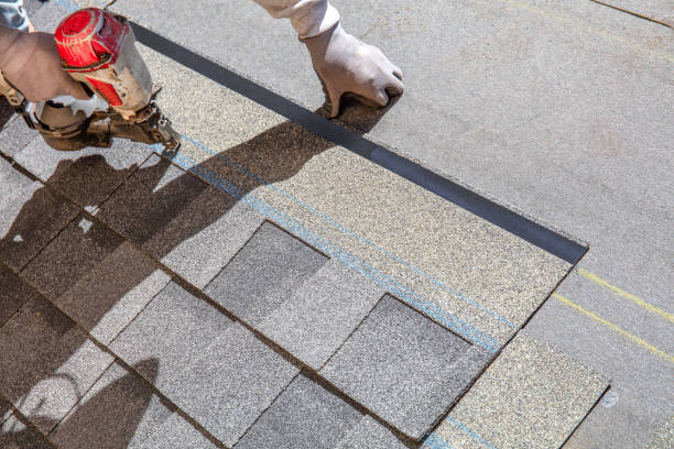 Best Flat Roof Repair Services  in Worth, IL